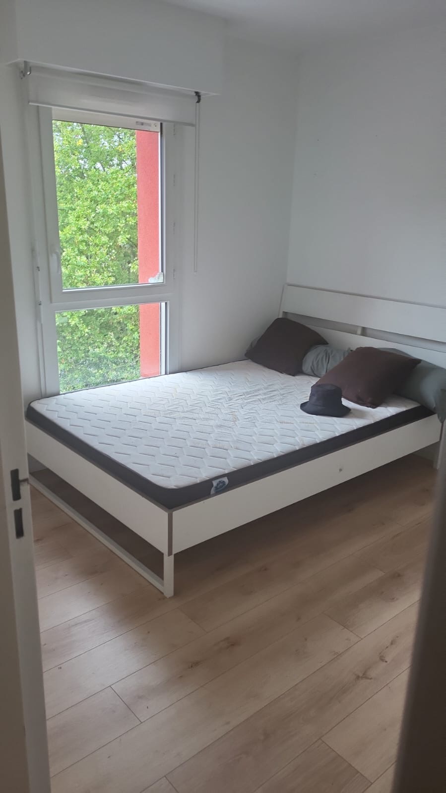 146d56c8-4d07-4045-8015-fa667c003b84