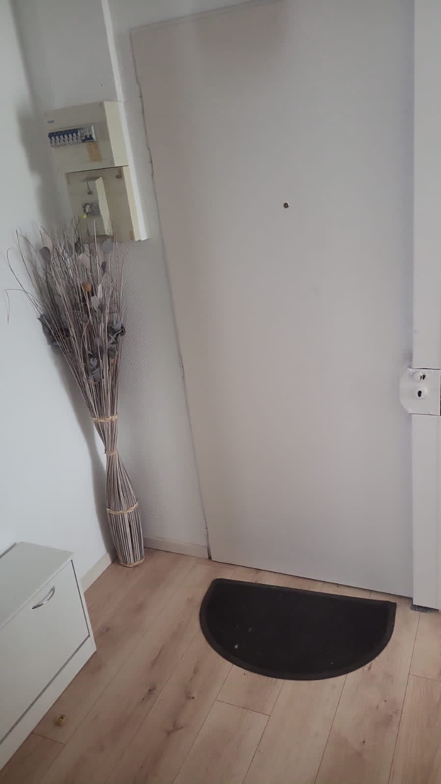 ba81b22c-b830-44bc-8ff1-f90ab80fcff5